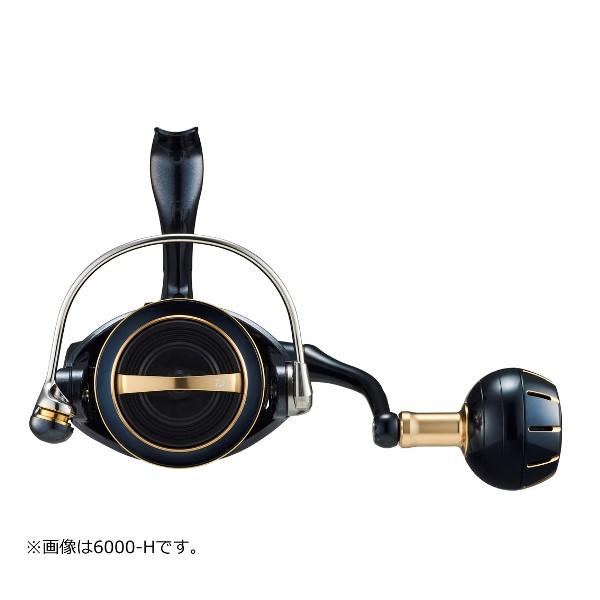 DAIWA（ダイワ） [90] '23 ソルティガ 6000-XH (G1) : かめや釣具