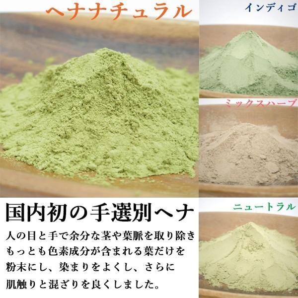 ヘナ ハナヘナ hana henna ハーバルブラウン 100g 2個送料お得セット