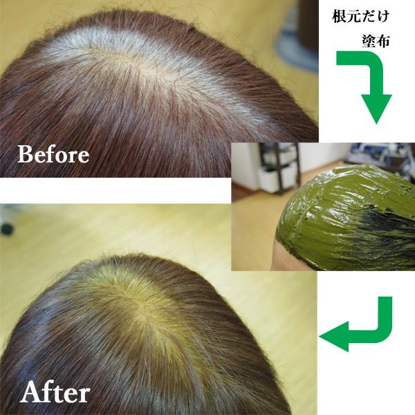 ヘナ ハナヘナ hana henna ハーバルブラウン 100g 2個送料お得セット