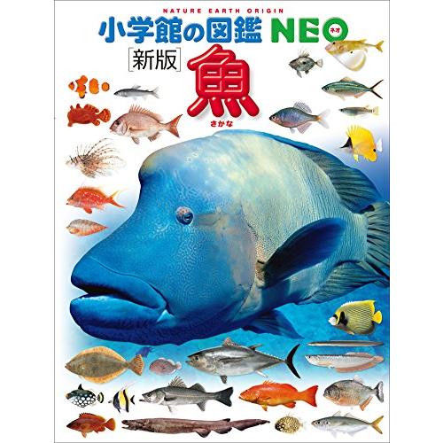 魚 DVDつき 新版 [小学館の図鑑NEO] : 柏の葉 蔦屋書店 ヤフー店