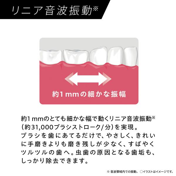 Panasonic（パナソニック） 音波振動ハブラシ ドルツ EW-DA48-A