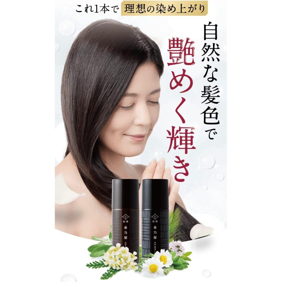 希乃屋 (きのや) 白髪染め エアカラーフォーム ダークブラウン 【医薬