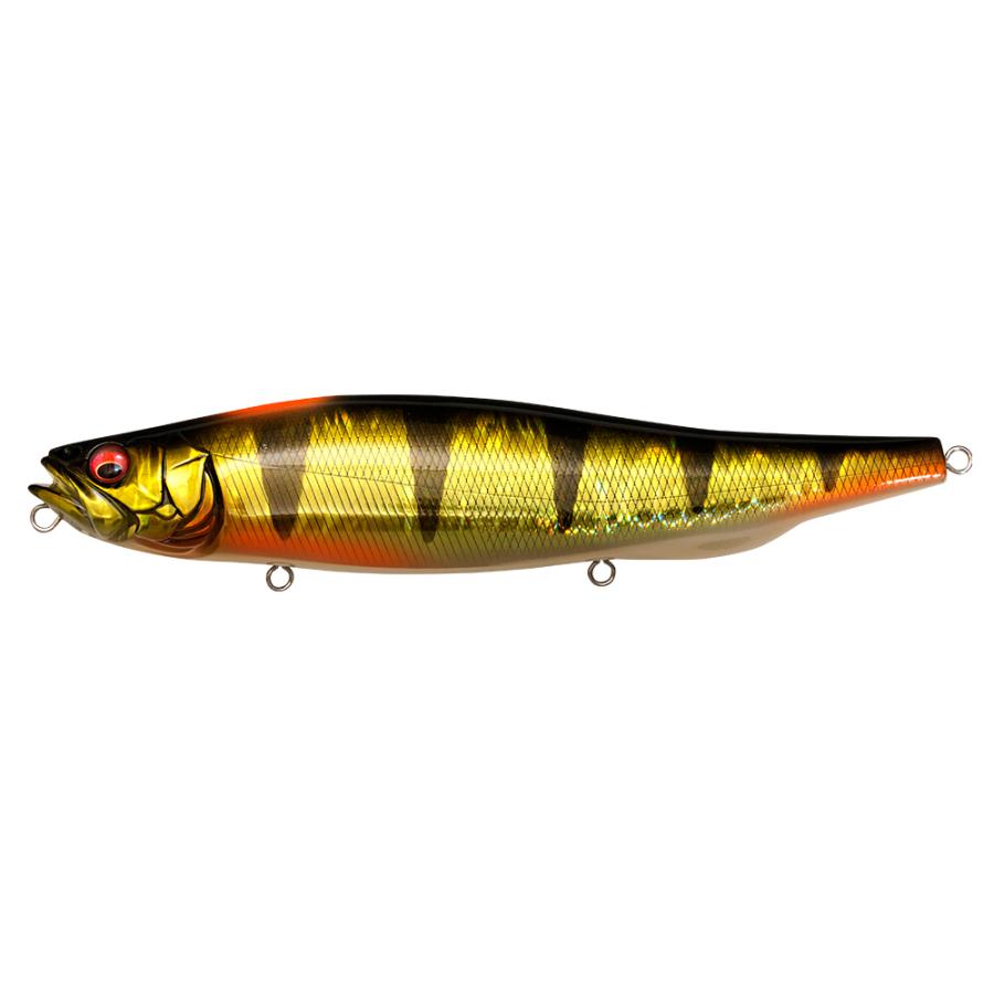 Megabass（メガバス） メガドッグX Megabass MEGADOG-X : グッド