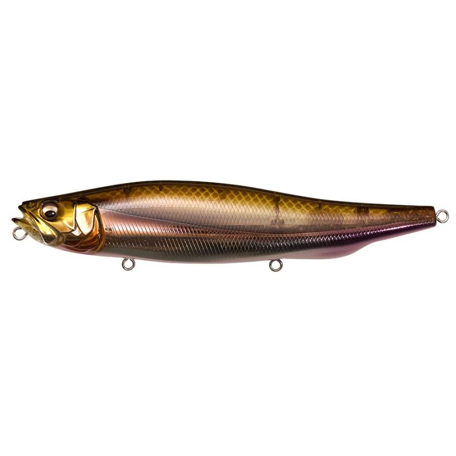Megabass（メガバス） メガドッグX Megabass MEGADOG-X : グッド