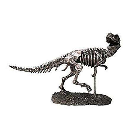 恐竜の化石 ティラノサウルス 恐竜の化石 オブジェ : 教材自立共和国