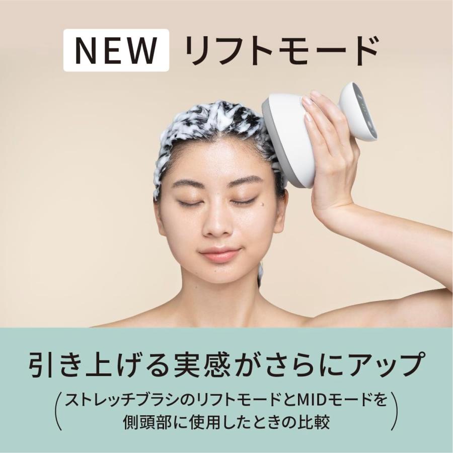 Panasonic（パナソニック） 2023年9月1日モデル 頭皮エステ シルバー調