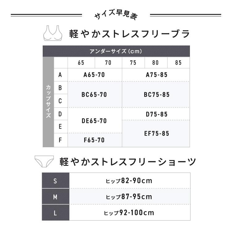 公式 TOLEETY トゥリーティ ブラジャー ブラ ショーツ セット 軽やか