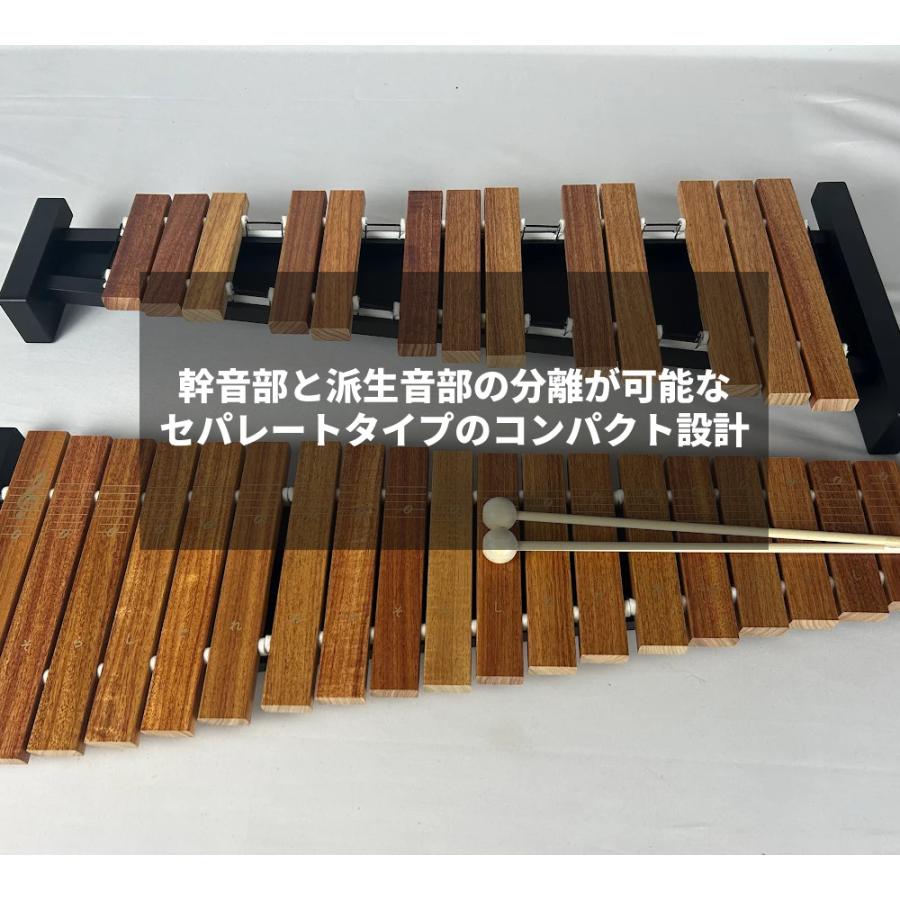 楽器 おもちゃ 知育玩具 木のおもちゃ ゼンオン 木琴 シロフォン 卓上