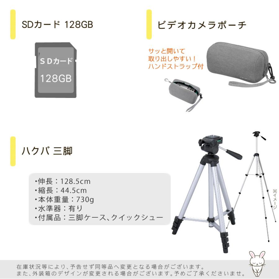 Panasonic（パナソニック） デジタル4Kビデオカメラ HC-VX3 ブラック