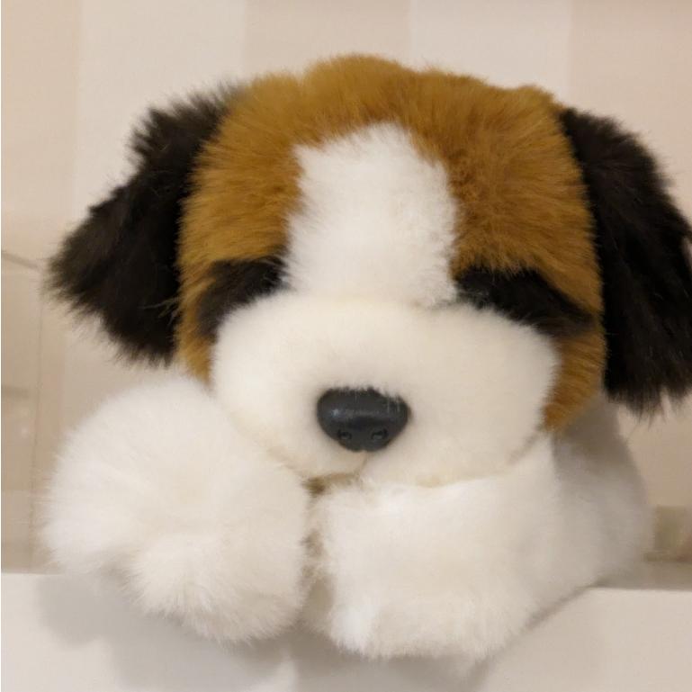 デッドストック】ラッピング不可 セントバーナード バーニーズ