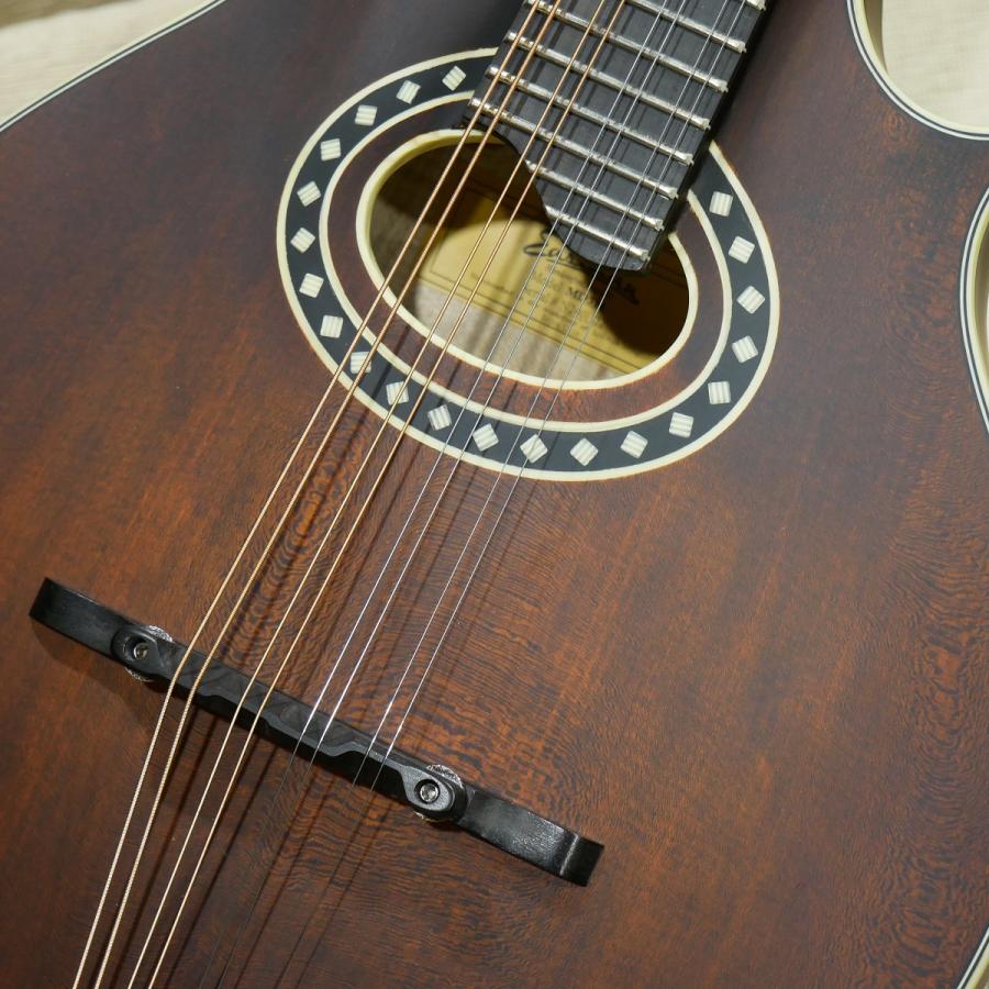 Eastman / MD 314 F-スタイルマンドリン マンドリン イーストマン
