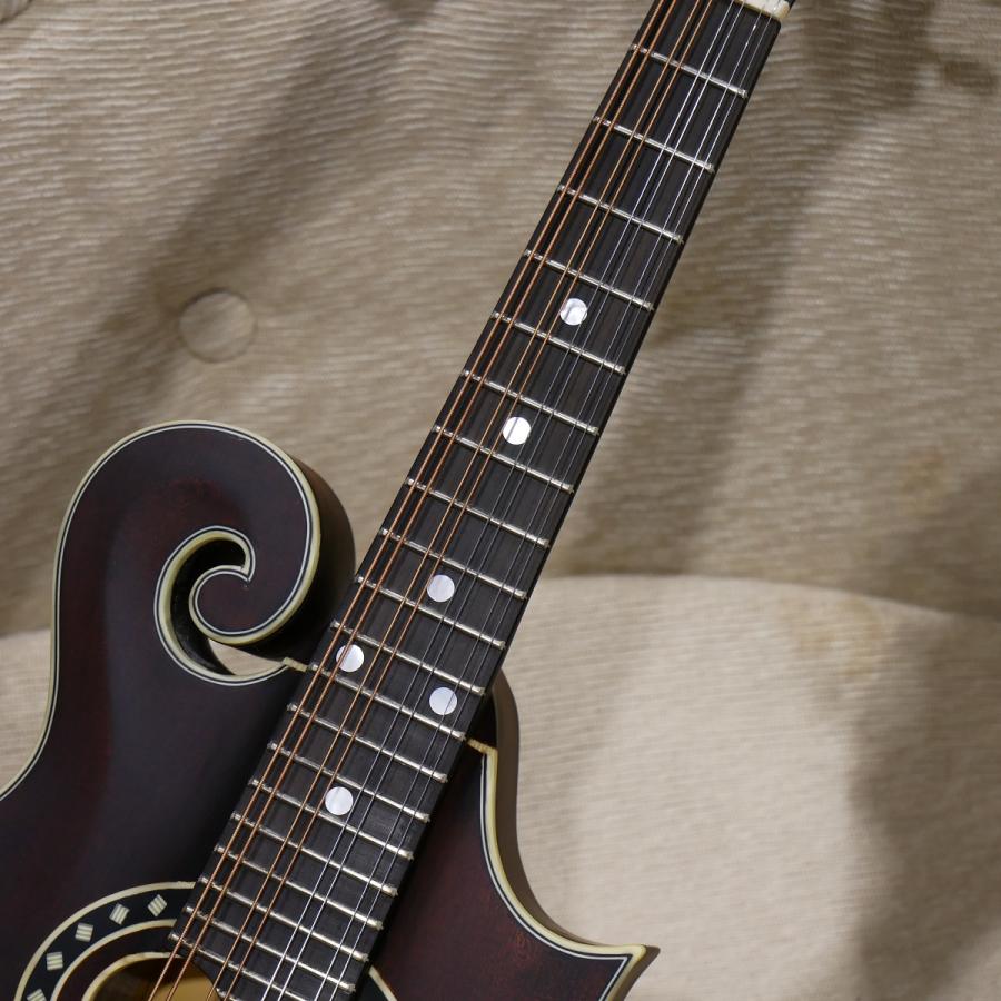 Eastman / MD 314 F-スタイルマンドリン マンドリン イーストマン