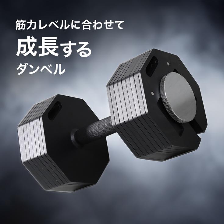 HAIGE（ハイガー） 【3000円引クーポン☆3/1まで】ハイガー 可変式