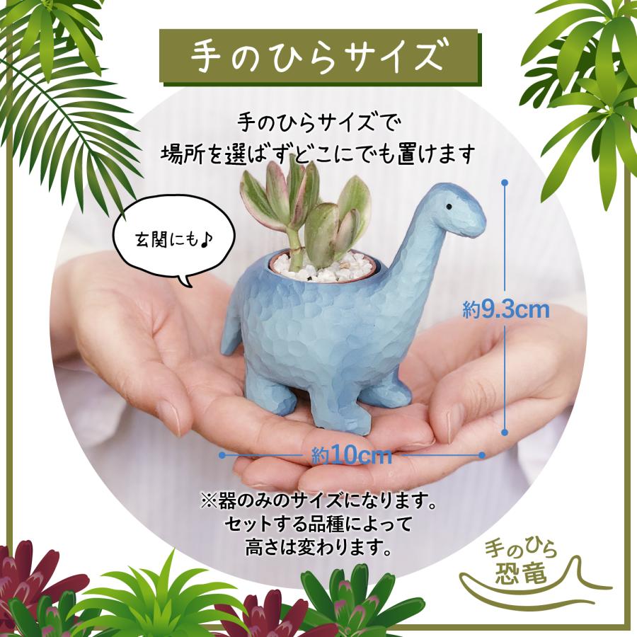 花のギフト社 多肉植物 鉢植え 多肉 トリケラトプス ティラノサウルス