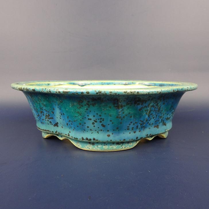 盆栽鉢 常滑 樹晃 鴻陽陶園 小型 長辺 約17cm 木瓜鉢 外縁 釉薬 現品