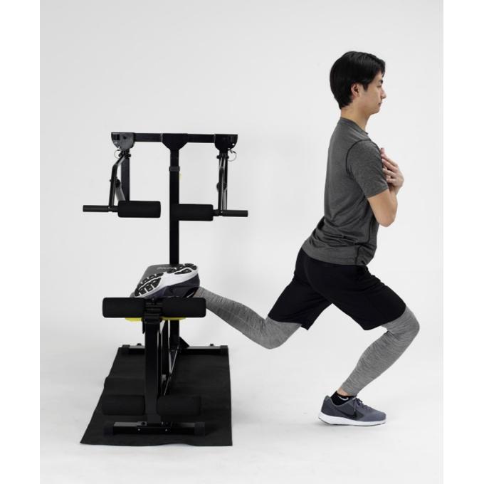 ALINCO（アルインコ） トレーニング器具 マルチワークアウトジム