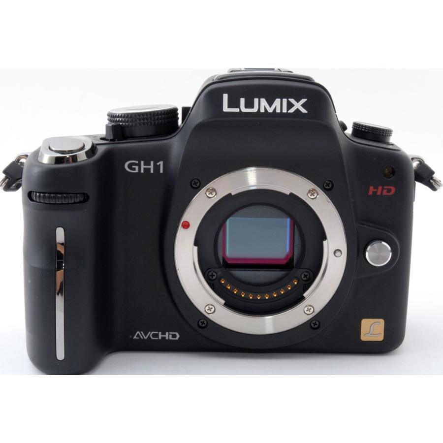 LUMIX パナソニック ミラーレス Panasonic DMC-GH1 レンズキット