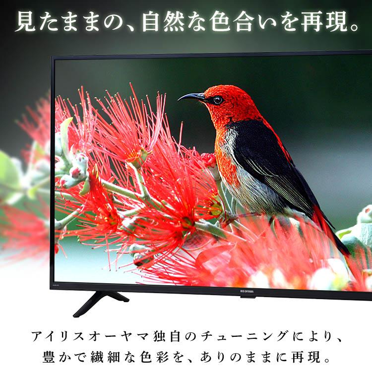 IRIS OHYAMA（アイリスオーヤマ） テレビ 24インチ 24型 24V型