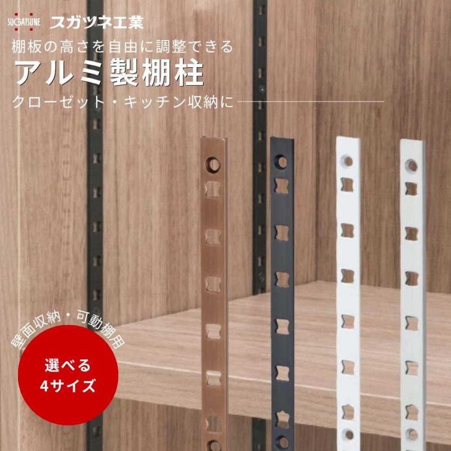 スガツネ工業 アルミ製棚柱 AP-DM1820 1820×W12×D3mm 1本 全4色 収納