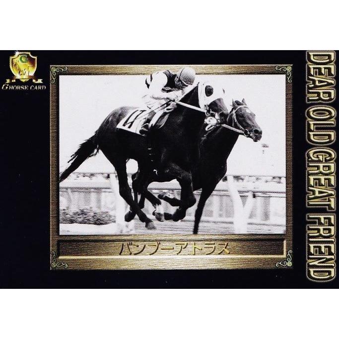GN016 【バンブーアトラス】1998 日刊スポーツ Gホースカード・春