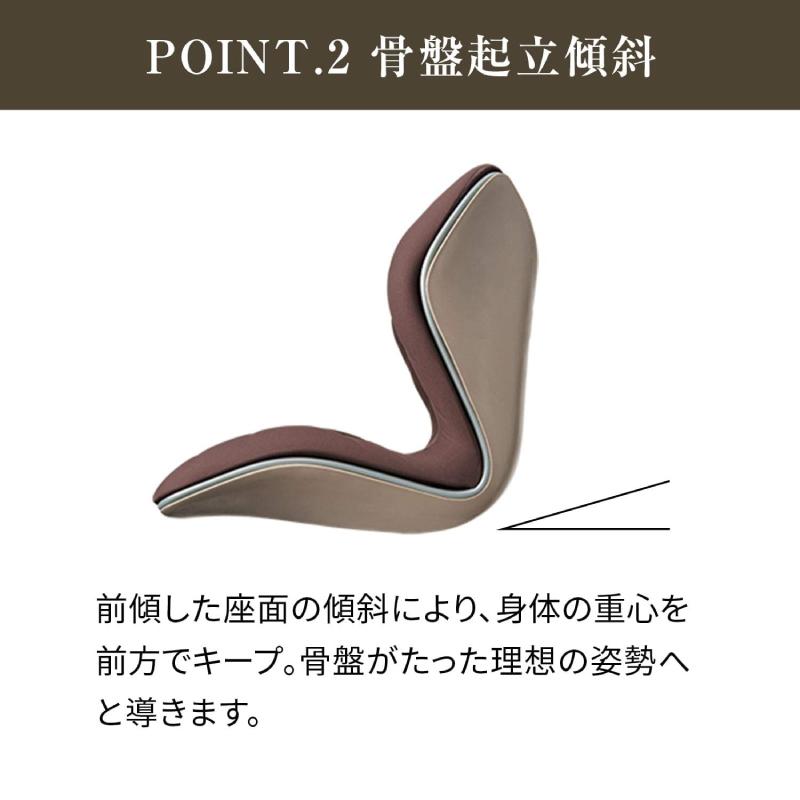 Style（スタイル） 爆買 姿勢ケアシート Style PREMIUM プレミアム MTG