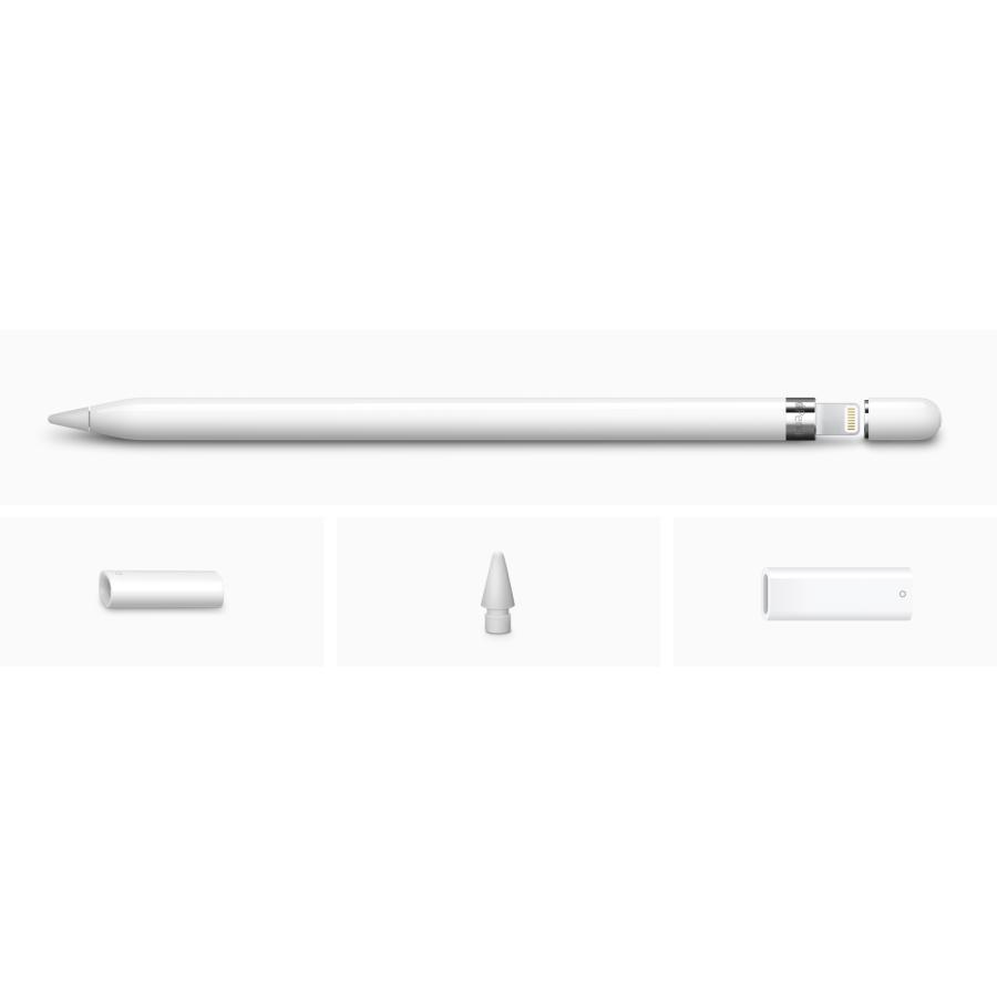 Apple Apple Apple Pencil アップル ペンシル（第1世代） 2024モデル