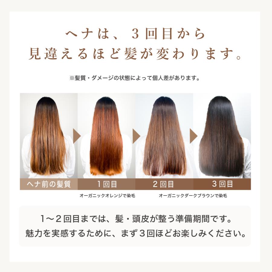 OSI ORGANIC ハラールヘナ HALAL HENNA オーガニックオレンジ 100g/3.6