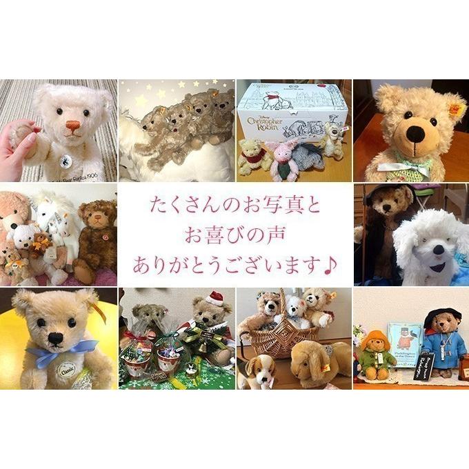 Steiff（シュタイフ） カドリーフレンズ テディベアのジミー ラブ 30cm