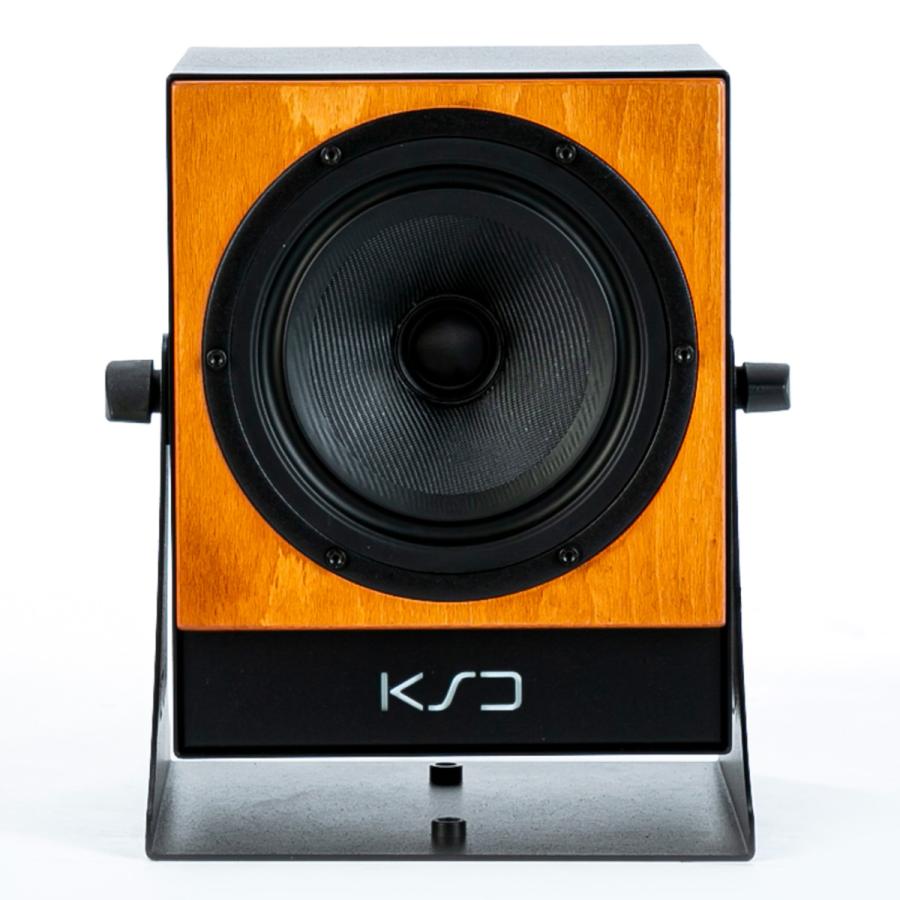 Made in Germany 同軸パワード スピーカー KS Digital C5-Reference