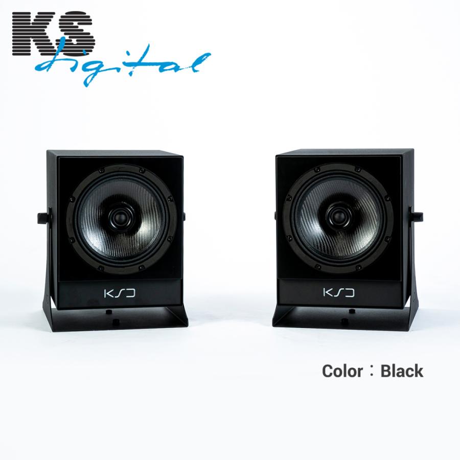 Made in Germany 同軸パワード スピーカー KS Digital C8-Reference