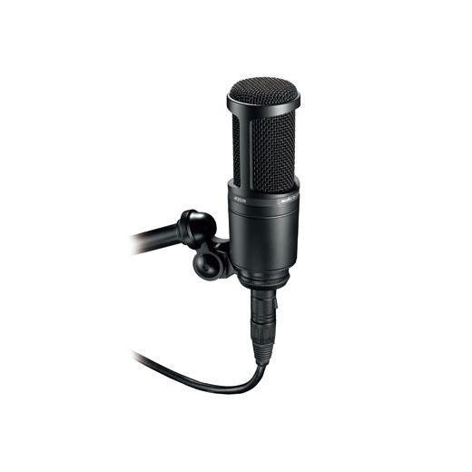オーディオテクニカ（audio-technica） 2個セット AT2020 audio