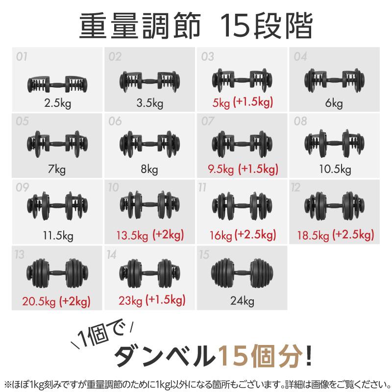 年に一度の総決算 最大10倍）（レビュー投稿で2年保証） ライシン