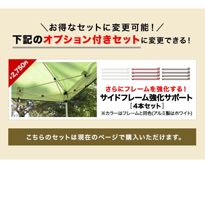 FIELDOOR（フィールドア） タープテント 3mx2m サイドフレーム強化版
