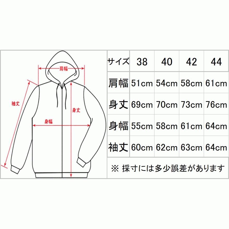 EVISU（エヴィス） スウェット パーカー 刺繍 プリント メンズ プル