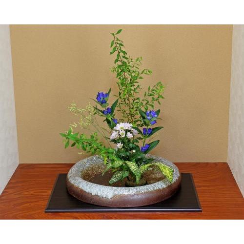 在庫数限り 信楽焼 水盤 花器 15号 窯変円盤 陶器 池坊 嵯峨御流