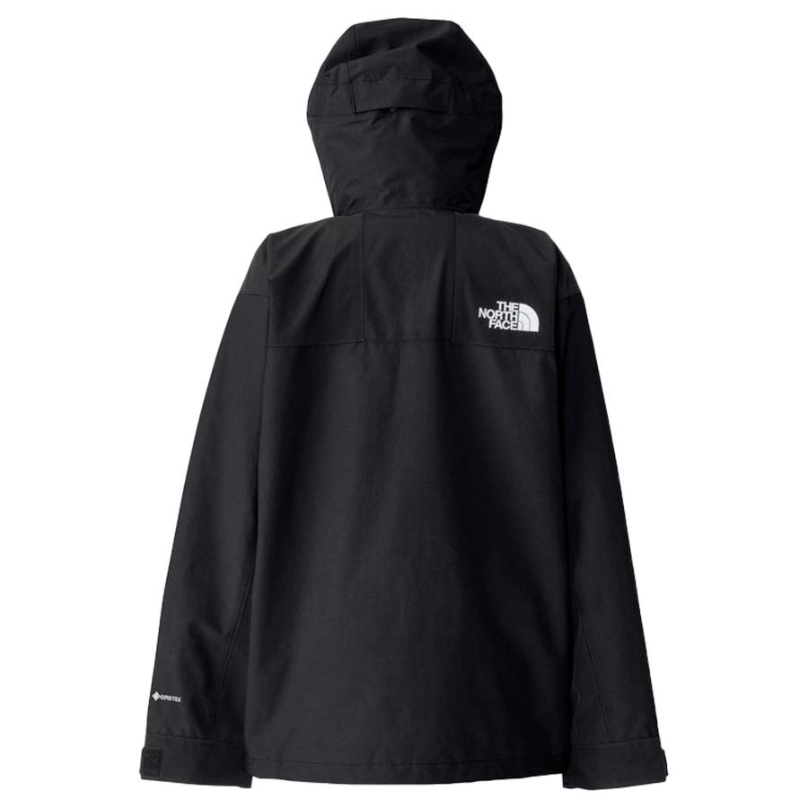 THE NORTH FACE（ザ ノースフェイス） マウンテンパーカー メンズ GORE