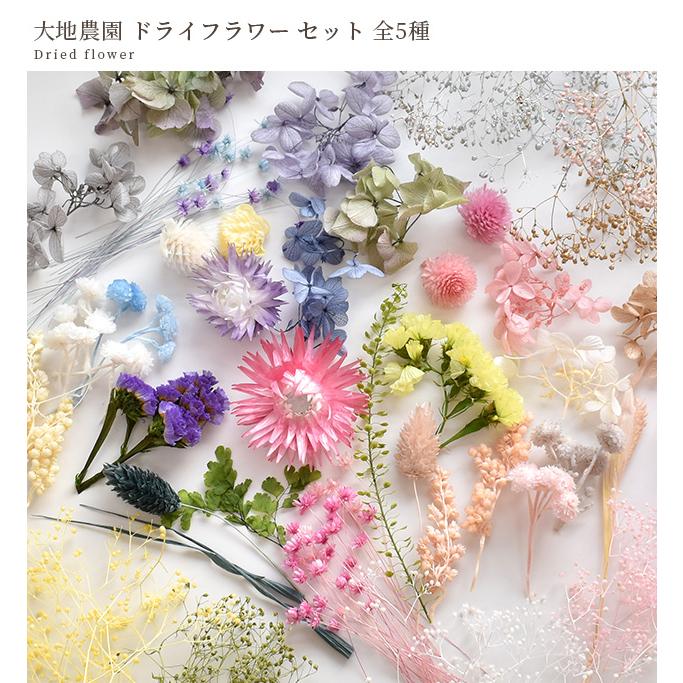 MY mama ドライフラワー 大地農園 アソート セット 全5種類 ケース付