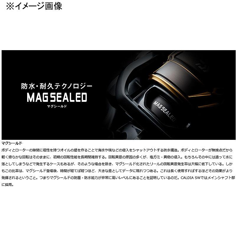 DAIWA（ダイワ） スピニングリール 22 CALDIA(カルディア) SW 8000-P