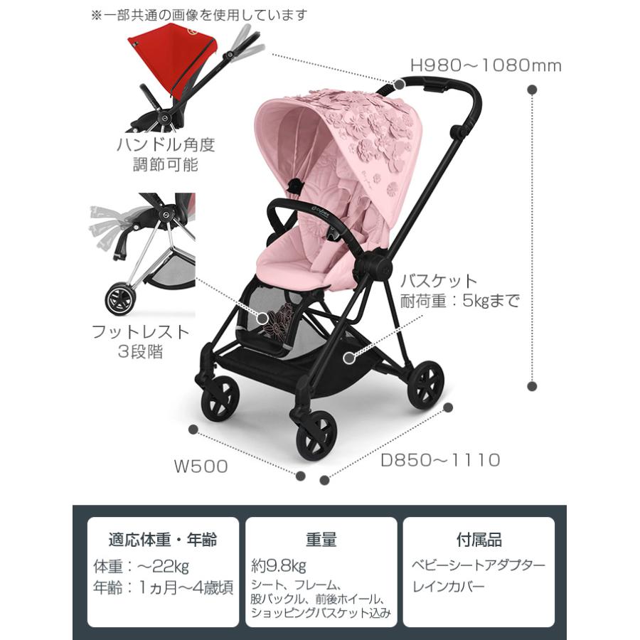 特価 サイベックス ミオス シンプリーフラワーズ フルセットフレーム