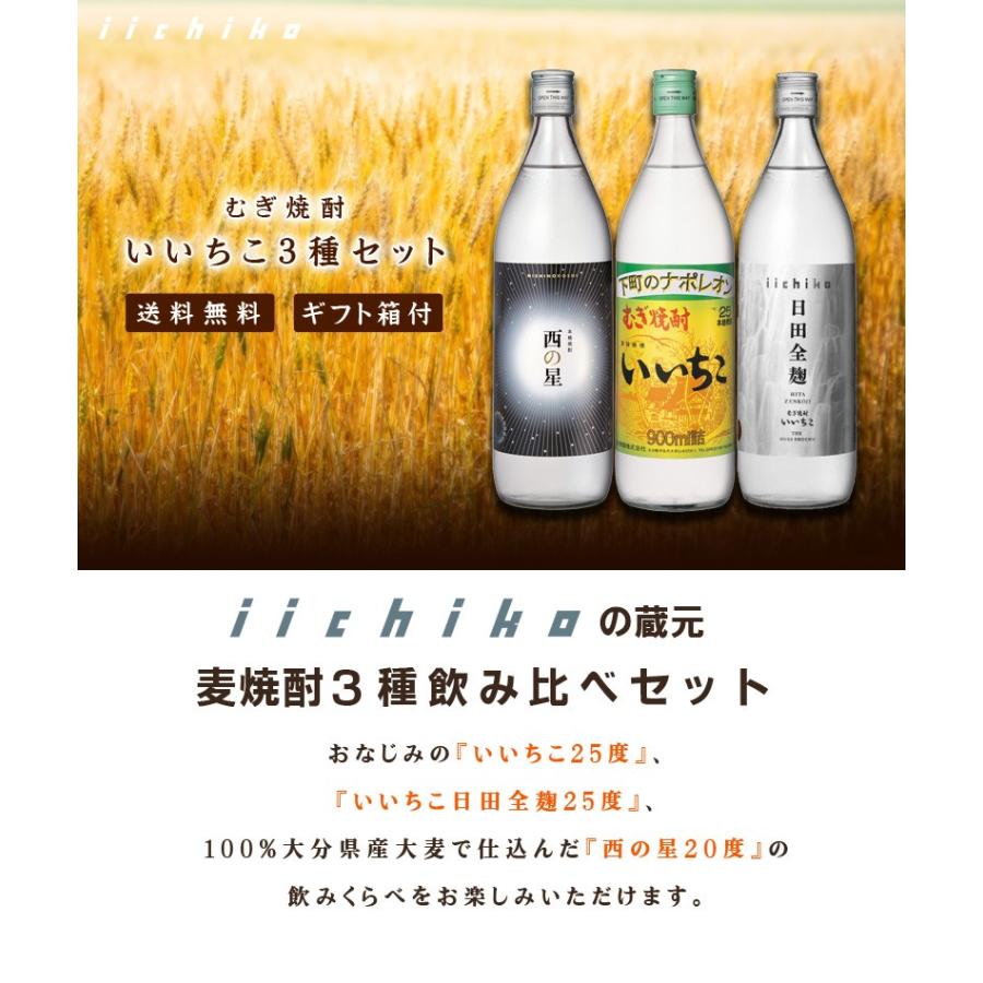 送料無料 いいちこ焼酎セット 麦焼酎900ml×3本セット（いいちこ 日田全