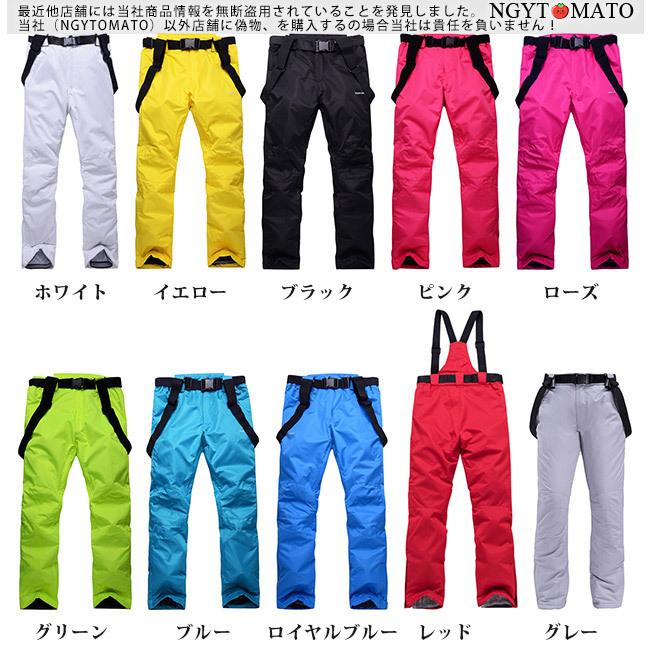 スノーボードウェア メンズ 上下セット スキーウェア レディース