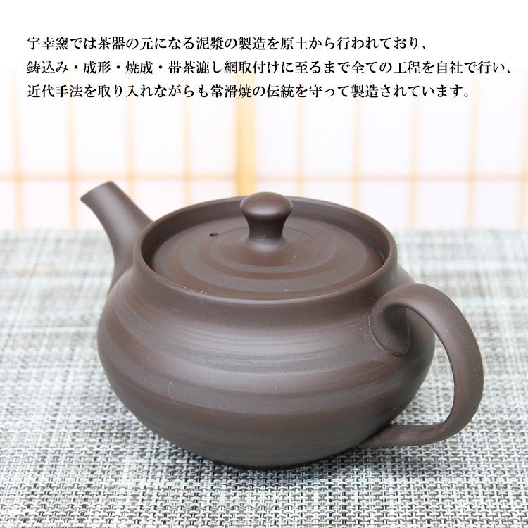 水本陶苑 宇幸窯 常滑焼 コーヒー急須 珈琲用＆日本茶用メッシュカップ