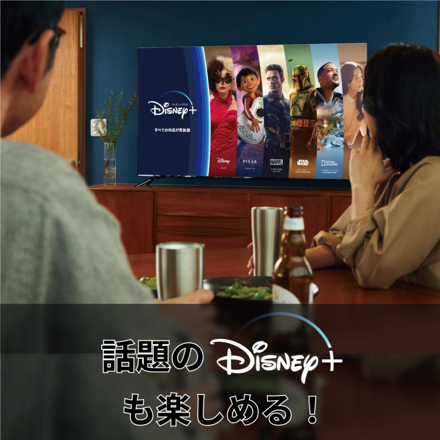 LEDTOKYO 4K液晶テレビ50V型 NSTシリーズ｜4K対応(地上/BS/CS