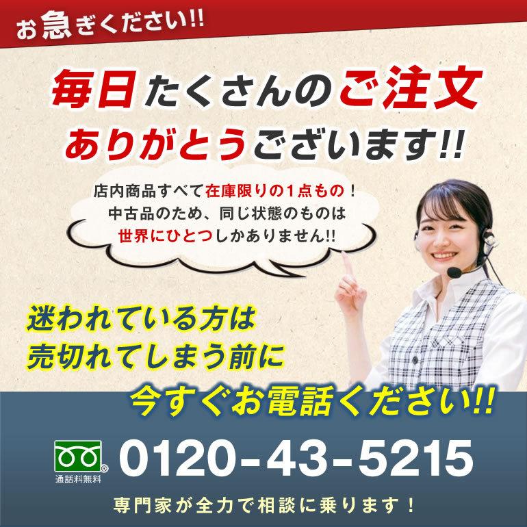 ガイアイオン SAJ ジェラルミン型 AAランク 1年保証 ラドン・イオン