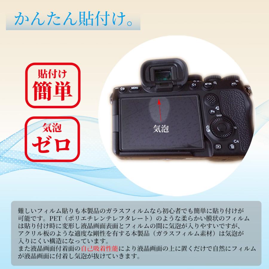LUMIX Panasonic TZ99 専用 ガラスフィルム 液晶 保護 硬度9H【 2枚