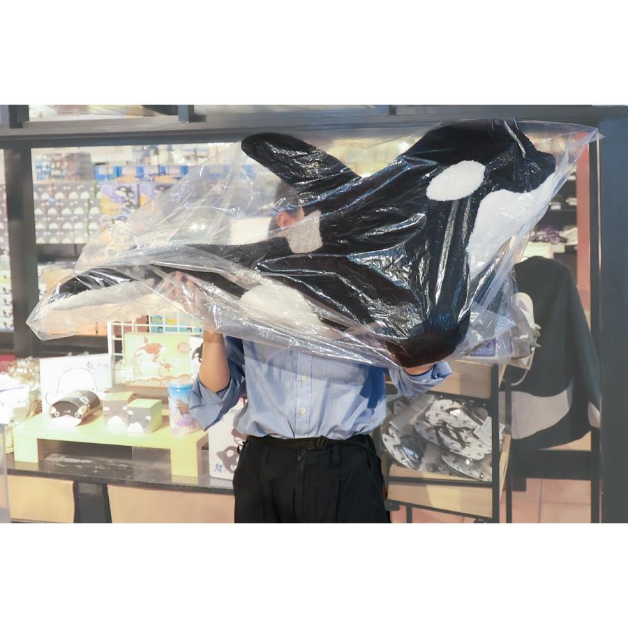 鴨川シーワールドオリジナルシャチ3L（大きさ100cm） : 鴨川シー