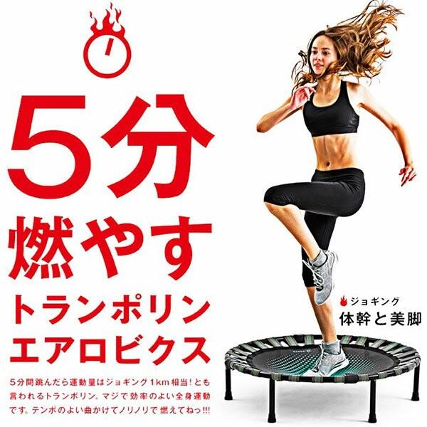 La-VIE 即日出荷 B-SANTE ビ・サンテ ダイエットステップ トランポリン