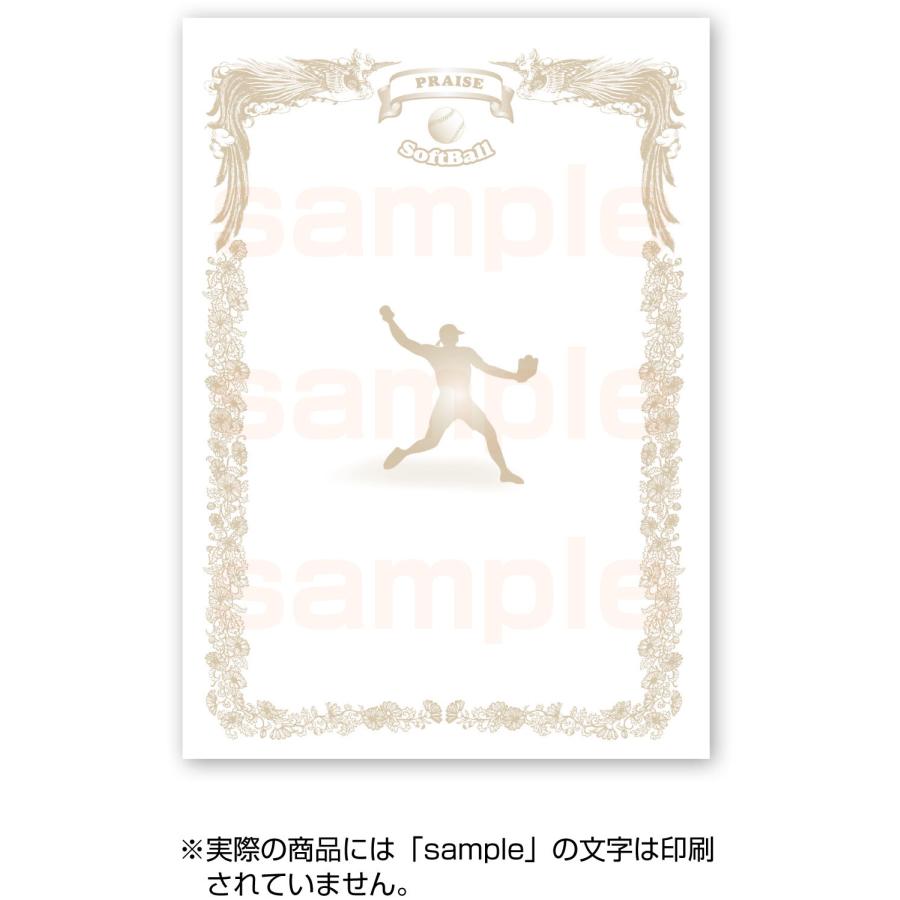 ユニックス UNIX 種目別賞状用紙 ソフトボール 賞状 A4 10枚 テスト