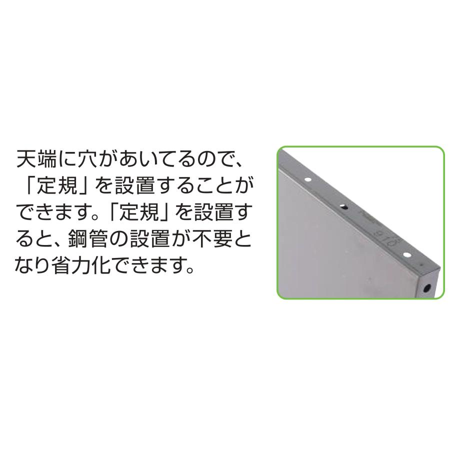 NSP 鋼製型枠 型枠幅45mm用 910パネル(天端穴) S3-80 800H 長さ910×高