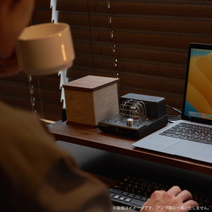 SOUNDWARRIOR SW-SP2 キューブ型 スピーカー 1Way＋パッシブ